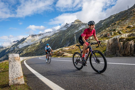 Koszulka damska Endura Paisley S/S LTD Berry